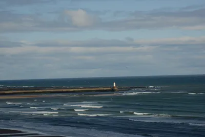 DSC_7229 (Large).JPG